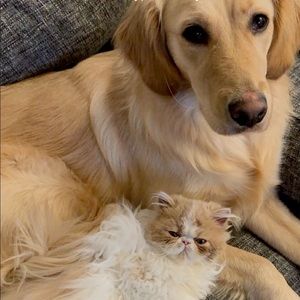 Meet your Posher, Eric